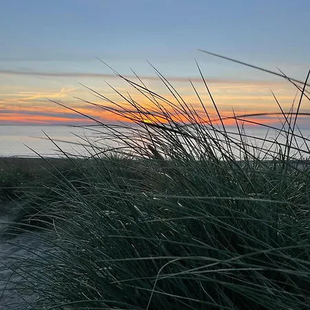 Badhotel 300 4* Callantsoog